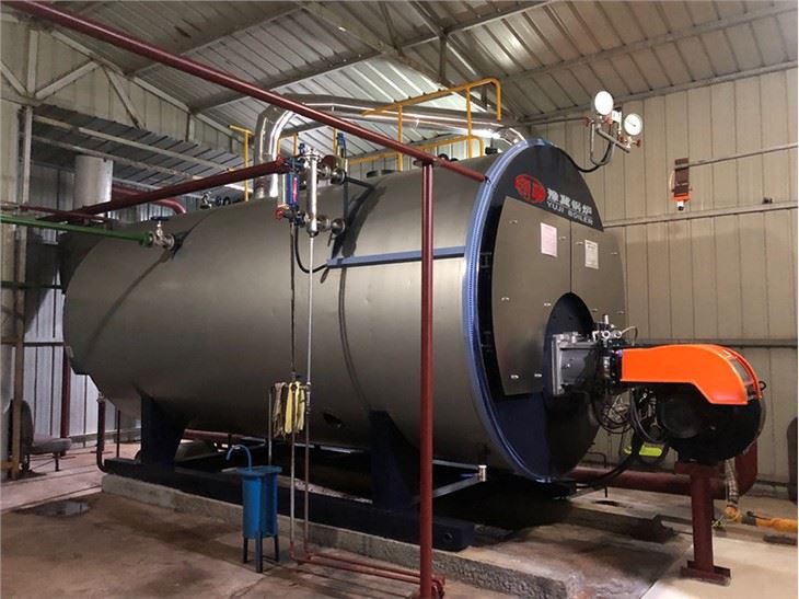 1-10t Wns Series Diesel Gas Fired Steam Boiler