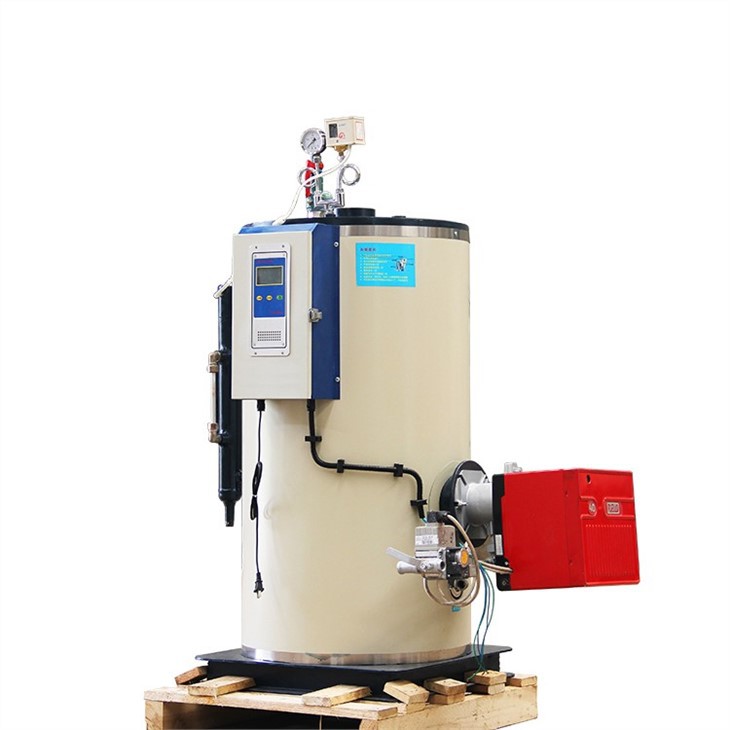 700kg Steam Boiler Gas Boiler For Industrial Laundry Equipment